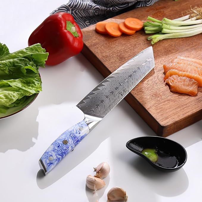 SHANGDAO 8 Inch Kiritsuke Chef Knife, Kitchen Slicing Knife Forged Damascus Steel with Blue and White Resin Handle - Full Tang - HUA Series
