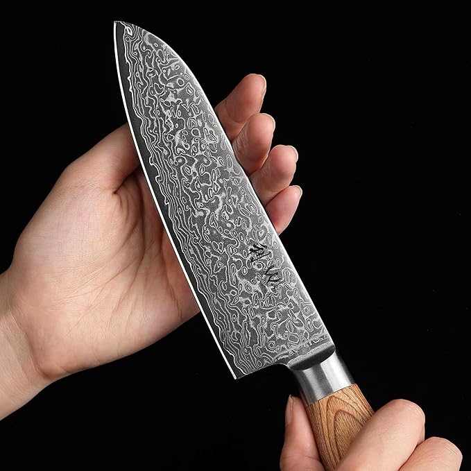 Wakoli EDIB Pro 2-Piece Damascus Kitchen Knife Set – Santoku & Small Santoku with VG10 Core made of 67-Layer Damascus Steel Blades – Professional Chef Knives with Ergonomic Pakkawood Handles