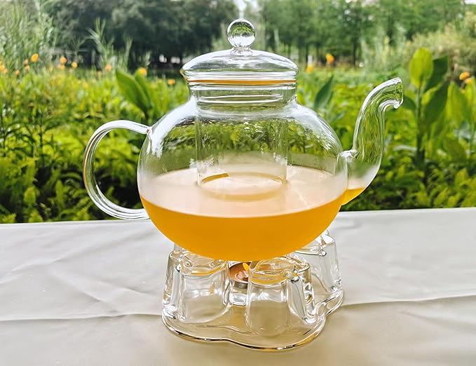 Stovetop & Microwave Safe Glass Teapot (40 oz) with Removable Loose Tea Glass Infuser,Borosilicate Glass Tea Kettle and Tea Maker, transparency