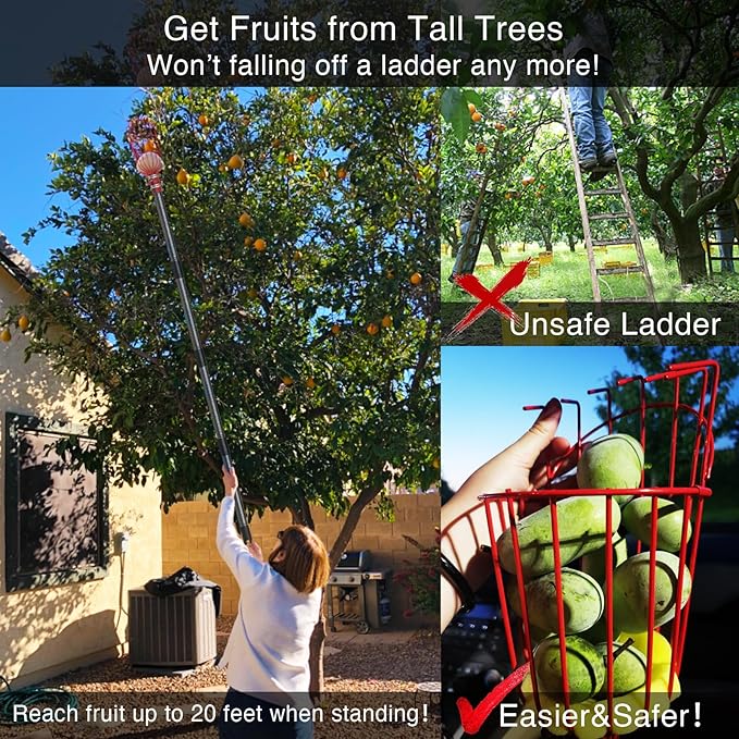 DonSail Fruit Picker Pole Tool with Basket Telescoping, Adjustable Apple Picker Pole 35-170 inch Long Handle, Mango Orange Avocado Fig Acorn Lemon Pear Pomelo Chery Picker for Tree