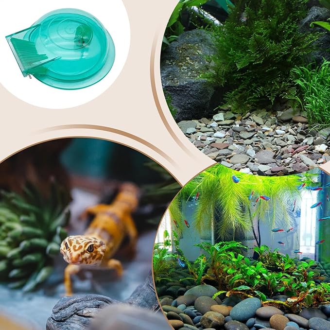 2 Packs Snail Catcher, Snail Catch Box, Transparent Aquarium Snail Catcher,Transparent Aquarium Snail Catcher, Lightweight Planaria Removal Supplies for Fish Tank, Multifunctional A-quarium