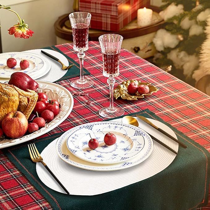 AHHFSMEI Placemats Set of 4 for Dining Table Washable Woven Non-Slip 18x12 inches Placemat Heat-Resistant Durable Table Mats for Dining Table Easy to Clean (Oval White, 4)