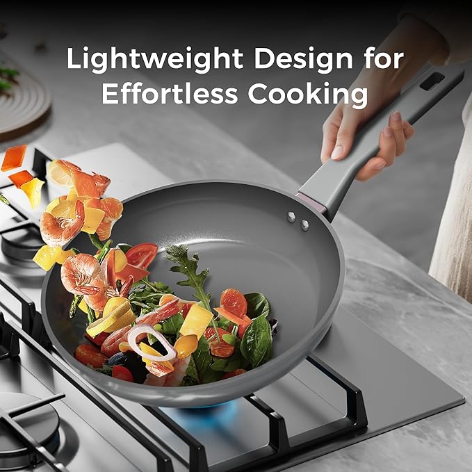 Sanho Diamond-Titanium Ceramic Nonstick Fry Pan Set, 10in & 12in Frying Pans, PFAS PFOA PTFE Free, Dishwasher Safe & Induction Compatible Cookware with Cool-Touch Handle, Gray