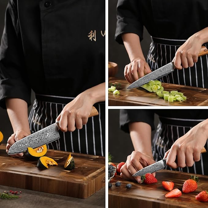 Wakoli EDIB Pro 4-Piece Damascus Knife Set – Professional Chef Knives Set with VG10 Core Blades, 67-Layer Damascus Steel and Ergonomic Pakkawood Handles – Premium Kitchen Knives in Elegant Gift Box