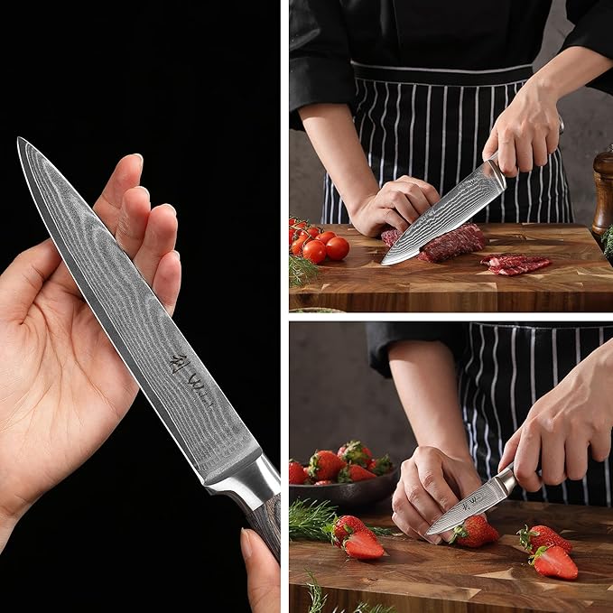 Wakoli EDIS 4-Piece Damascus Knife Set – Professional Kitchen Knife Set with VG10 Core Blades, 67-Layer Damascus Steel and Ergonomic Pakkawood Handles – Premium Kitchen Knives in Gift Box