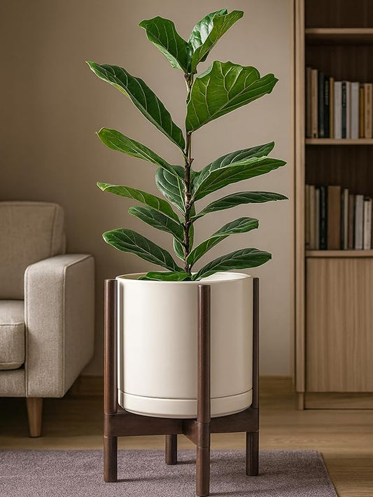 D'vine Dev Ceramic Planter with Walnut Color Stand - 12 Inch Modern Round Flower Pot with Wood Planter Holder, Oatmeal, 55-B-W-8