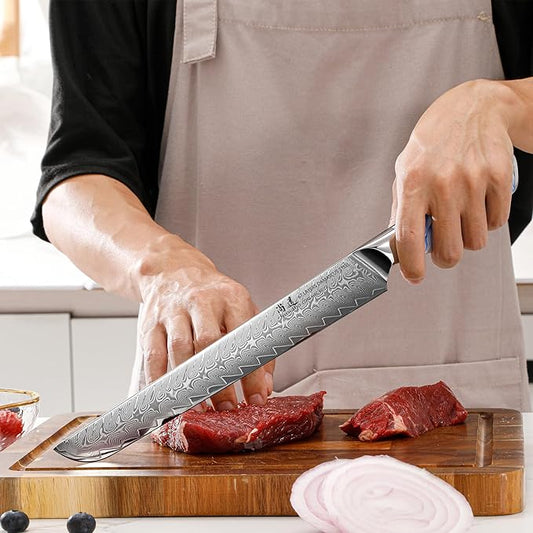 SHANGDAO Brisket Slicing Knife - 10 Inch Professional Kitchen Carving Knife, Forged VG 10 Damascus Steel, Meat Kitchen, Full Tang, Ergonomic Resin Handle