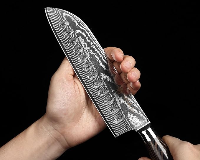 Wakoli EDIB Essentials 4-Piece Damascus Knife Set – Professional Kitchen Knives with VG10 Core, 67-Layer Damascus Steel Blades – Santoku, Chef, Small Santoku & Paring Knife with Pakkawood Handles
