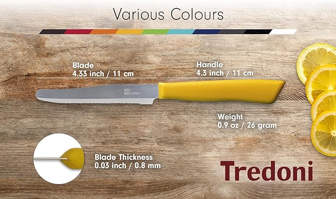 Tredoni 6 kitchen Knives - 4.3"/11cm Italian Stainless Steel Serrated Vegetable/Steak/Table Knife Cutlery, Rounded Tip (White)