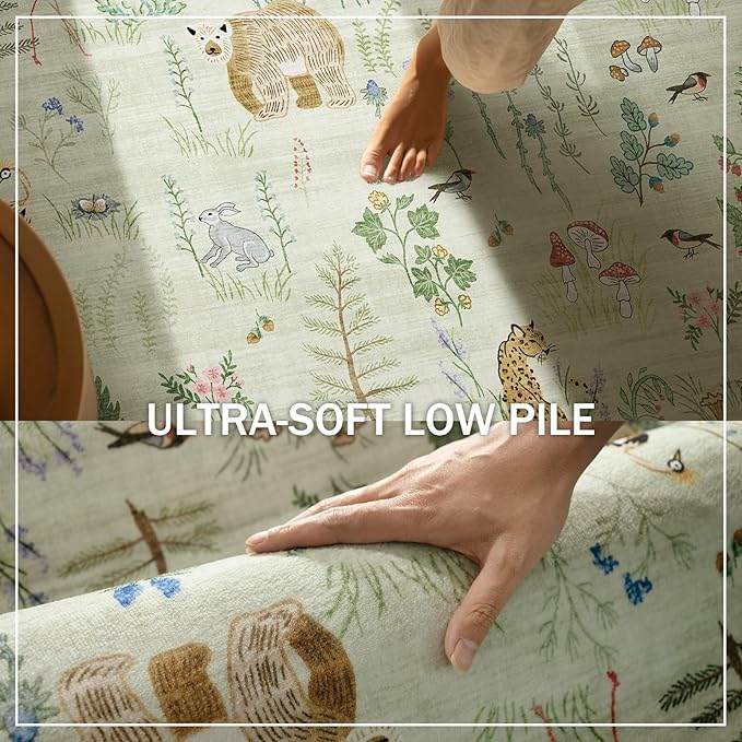 Washable Small Throw Rugs for Entryway: Door Mat Indoor Entrance 4x6 Area Rug Non Slip Low Pile Kitchen Rug for Front Door Indoor Entrance Entry Kids Room