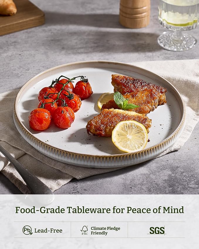 famiware Star Dinner Plates for 6, 10 inches Plate Set, Scratch Resistant, Stoneware Dinnerware, Kitchen Modern Rustic Serving Dishes, Cappuccino White (Pack of 3)
