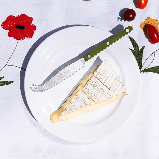 SABRE PARIS - Cheese Knife 9.4 inches - Bistrot Vintage Collection - All Cheeses - Stainless Steel & Nylon - Dishwasher Safe - Fern Green - Mat Finish