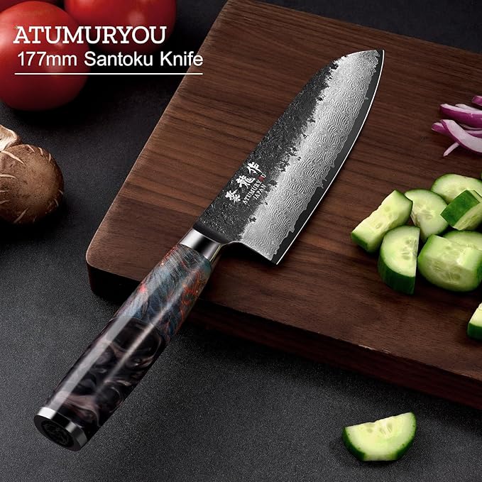 7 Inch Japanese Chef knife, 67 Layers Damascus Chef Knife with VG10 Steel Core, Professional Santoku Kitchen Knives with Ergonomic Handle, Leather Sheath & Luxury Gift Box, Cooking Gifts for Women
