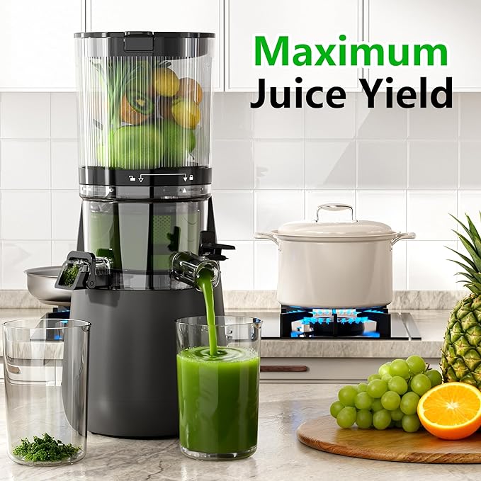B12 Cold Press Juicer, 6" Extra Large Feed Chute Slow Masticating Juicer Machines, Powerful AC Brushless Motor, Self Precut System, Juicer Machines with BPA-Free, Extra one Replace juicer strainer