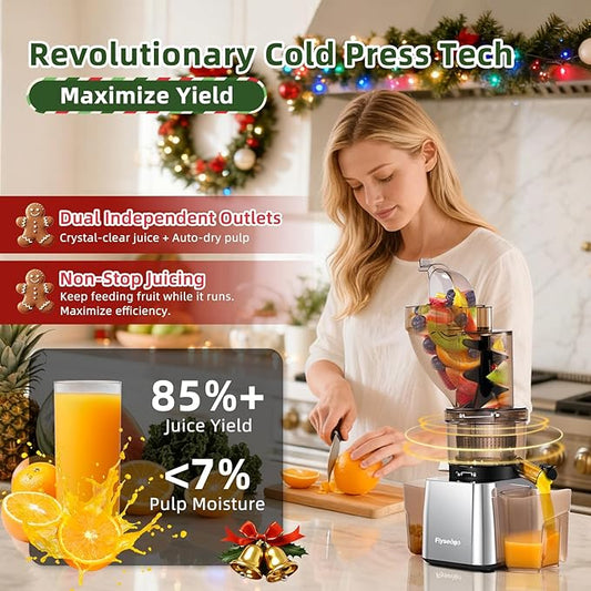 Flyseago Commercial 300W Cold Press Juicer Machines - Dual Outlet for Juice & Pulp, High Yield, Masticating Juicers, Heavy Duty Stainless Steel, Quiet Motor, Easy Clean for Restaurants, Bars
