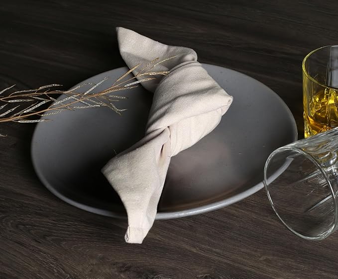 Native Fab Solid Cloth Napkin Set of 12, 100% Chambray Cotton, Washable, Reusable Dinner Cloth Napkin 17x17 inches, Table Decor Napkins for Dinner, Events, Beige