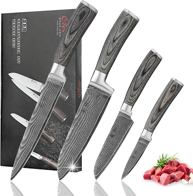 Wakoli EDIS 4-Piece Damascus Knife Set – Professional Kitchen Knife Set with VG10 Core Blades, 67-Layer Damascus Steel and Ergonomic Pakkawood Handles – Premium Kitchen Knives in Gift Box