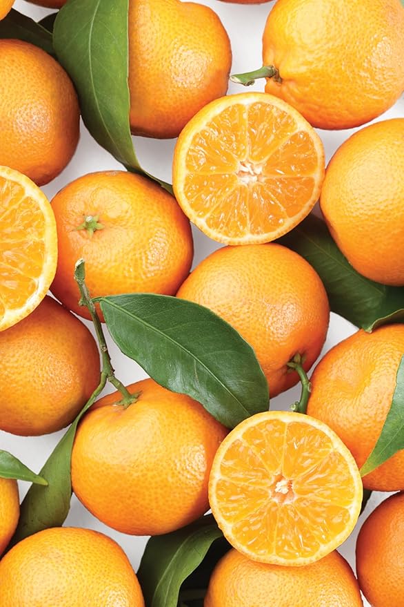 Chef'n ZeelPeel Orange Peeler