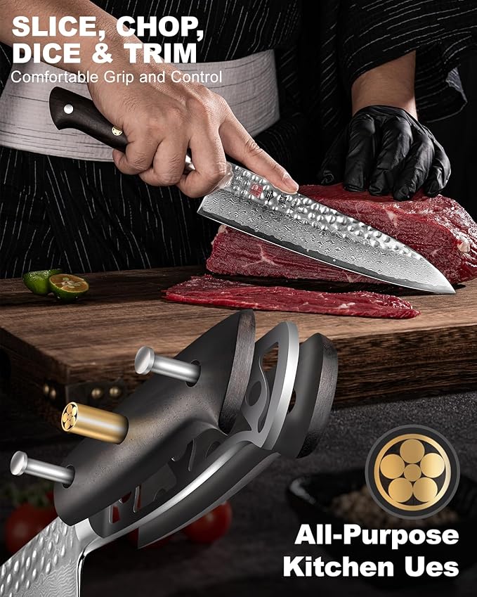 Japanese Chef Knife 8.27 Inch Kitchen Knife with 67 Layers Damascus Steel AUS-10 Core, Professional chefs Knife with Full-Tang Ebony Wood Handle and Premium Gift Box(Hammered Damascus Series)