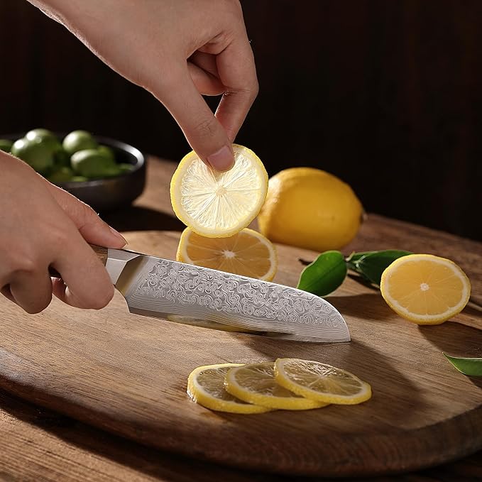 Wakoli Oribu Small Santoku Knife – Full Tang Kitchen Knife | 5-Inch Blade Made of 67-Layer Damascus Steel with AUS-10 Core | Ergonomic Olive Wood Handle | Sharp & Durable