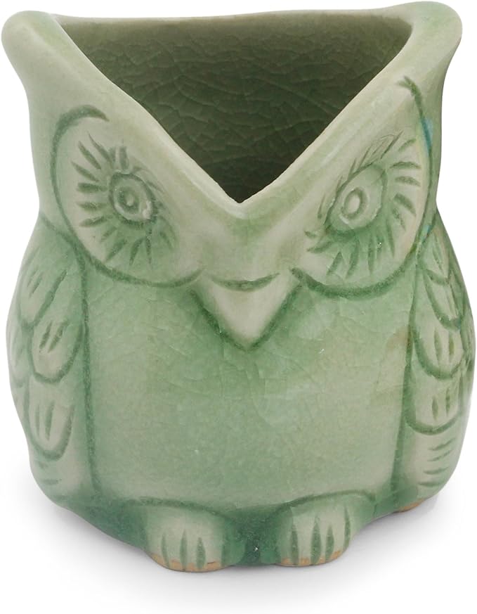 NOVICA Happy Green Owl Celadon Ceramic Toothpick Holder