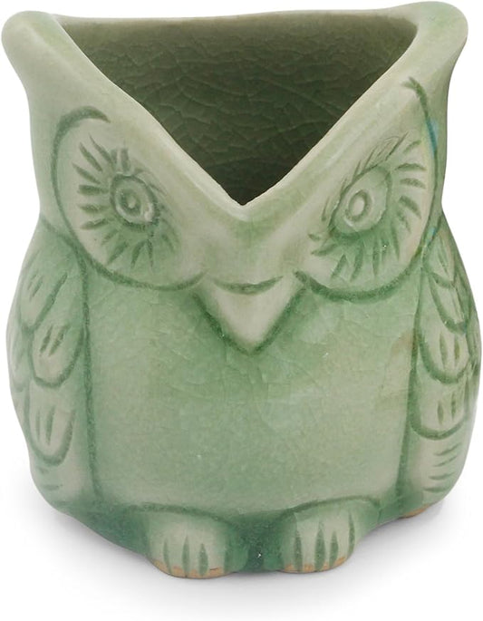 NOVICA Happy Green Owl Celadon Ceramic Toothpick Holder