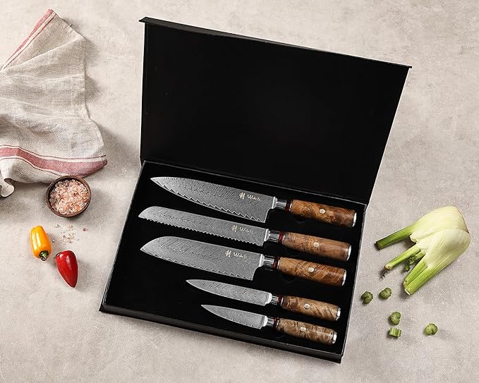 Wakoli Damascus Chef Knife Set with Magnetic Block – 5-Piece Professional Kitchen Knife Block Set, Genuine 67-Layer Damascus Steel Blades with VG10 Core & Ergonomic Sycamore Wood Handles