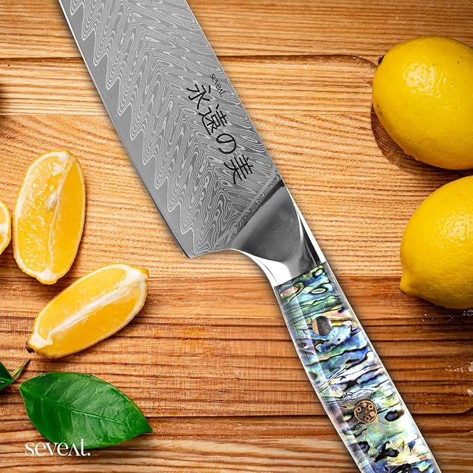 Damascus Kitchen Knife Set, 67-Layer Damascus Steel, Professional Chef Knives Set for Kitchen, Ergonomic Wood & Resin Handle (Blue, 9 pieces with Wooden Block)