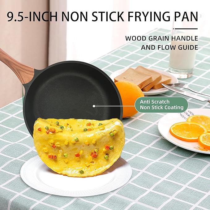 SC Cooker Nonstick Skillet 9.5 Inches Black Granite, Non Stick Frying Pan For Chef Cooking, Omelette Pan Egg Frying Healthy Stone Cookware, Compatible with All Stovetops, PFOA Free (Black, 9.5inch)