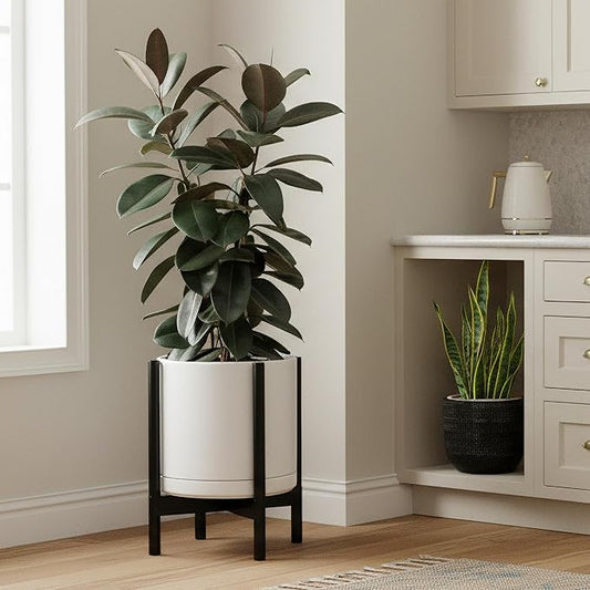 D'vine Dev Ceramic Planter with Ebony Stand - 12 Inch Modern Round Flower Pot with Wood Planter Holder, White, 55-B-H-1