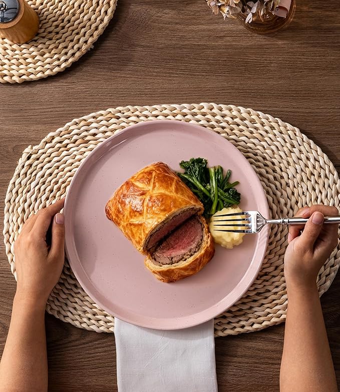 AmorArc Ceramic Dinner Plates Set of 6,10.5 Inch Stoneware Plates Set for Dinner, Elegant Dish Set with Rustic Terracotta Underside,Microwave & Dishwasher Safe-Cloud Pink