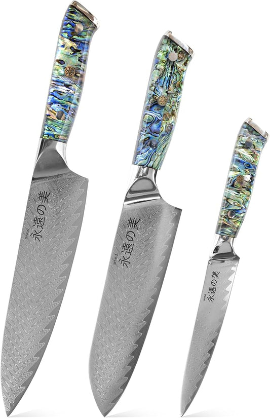 Damascus Kitchen Knife Set, 67-Layer Damascus Steel, Professional Chef Knives Set for Kitchen, Ergonomic Wood & Resin Handle (Blue, 3 pieces with Shell Handle)