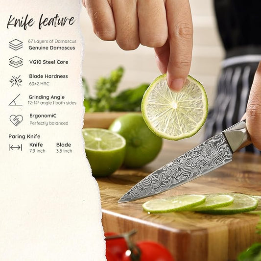 zayiko Black Edition Damascus Paring Knife | Sharp 3.5 inch blade made of 67 layers of Damascus steel | Ergonomic pakkawood Handle | Premium & professional Chef's Knifes for Kitchen Work