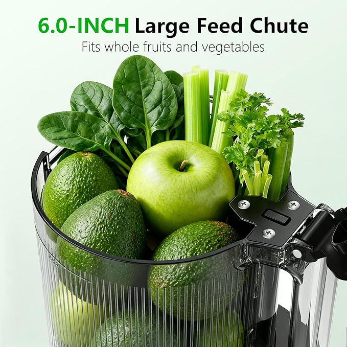 B12 Cold Press Juicer, 6" Extra Large Feed Chute Slow Masticating Juicer Machines, Powerful AC Brushless Motor, Self Precut System, Juicer Machines with BPA-Free, Extra one Replace juicer strainer