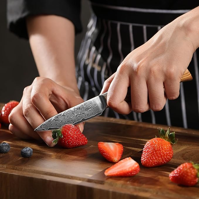 Wakoli EDIB Pro Premium Paring Knife – Japanese Style Kitchen Knife | 3.2-Inch Blade Made of 67-Layer Real Big Master Steel with Pakka Wood Handle | Professional Cooking Tool