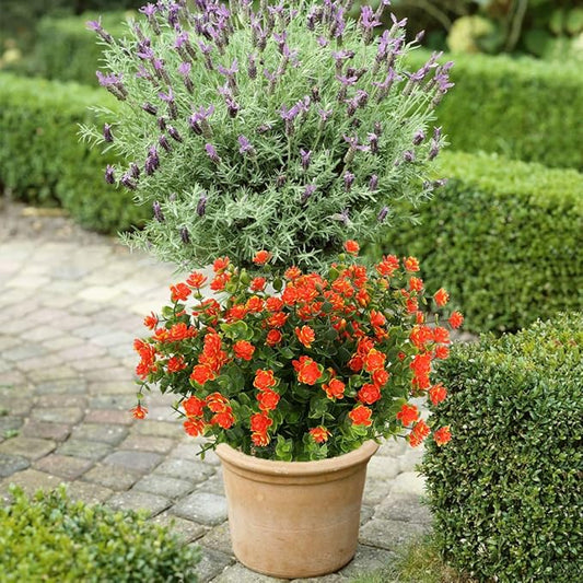 10PCS Artificial Flowers, Fake Artificial Greenery UV Resistant No Fade Faux Plastic Plants for Wedding Bridle Bouquet Indoor Outdoor Home Garden Kitchen Office Table Vase(Orange Red)