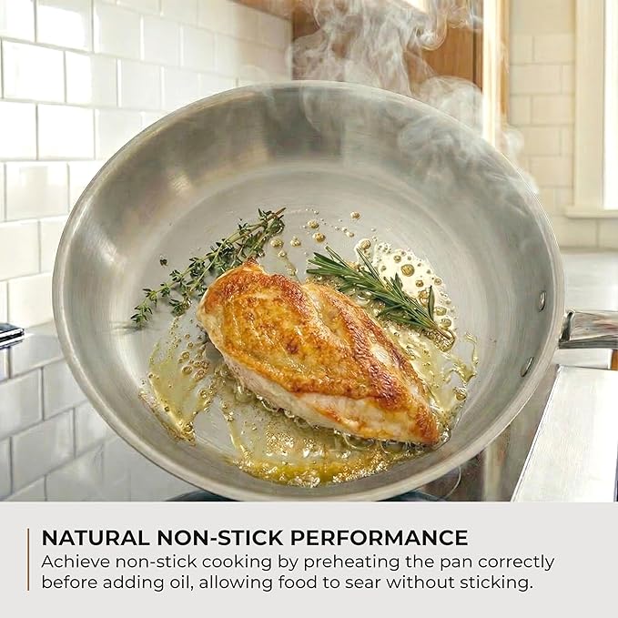 Sunhouse Frying Pan (FRY PAN (Pro), 10 inch)