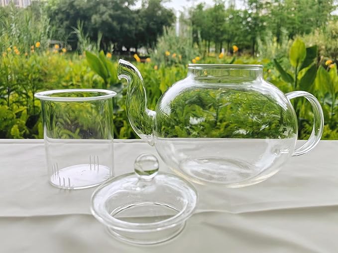 Stovetop & Microwave Safe Glass Teapot (40 oz) with Removable Loose Tea Glass Infuser,Borosilicate Glass Tea Kettle and Tea Maker, transparency