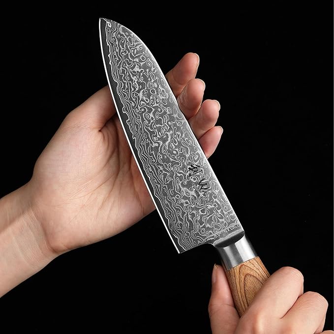 Wakoli EDIB Pro 5-Piece Damascus Knife Set – Professional Chef Knives Set with VG10 Core Blades, 67-Layer Damascus Steel and Ergonomic Pakkawood Handles – Premium Kitchen Knives in Wooden Gift Box