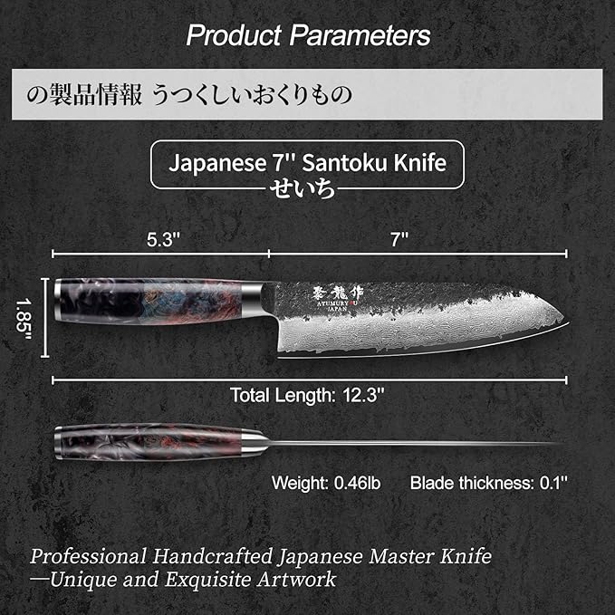 7 Inch Japanese Chef knife, 67 Layers Damascus Chef Knife with VG10 Steel Core, Professional Santoku Kitchen Knives with Ergonomic Handle, Leather Sheath & Luxury Gift Box, Cooking Gifts for Women