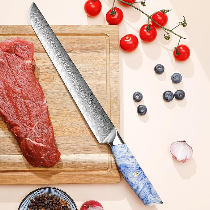 SHANGDAO Brisket Slicing Knife - 10 Inch Professional Kitchen Carving Knife, Forged VG 10 Damascus Steel, Meat Kitchen, Full Tang, Ergonomic Resin Handle