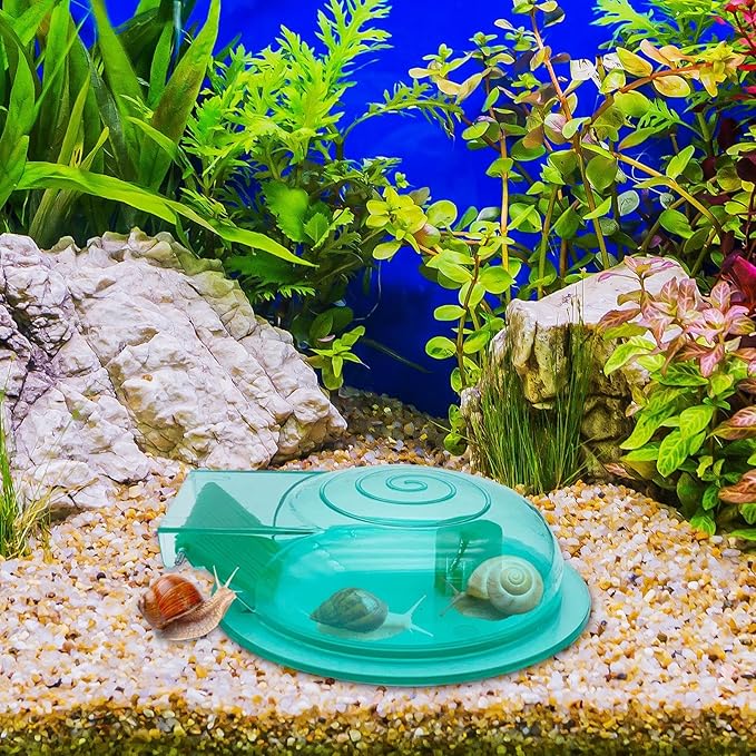 2 Packs Snail Catcher, Snail Catch Box, Transparent Aquarium Snail Catcher,Transparent Aquarium Snail Catcher, Lightweight Planaria Removal Supplies for Fish Tank, Multifunctional A-quarium