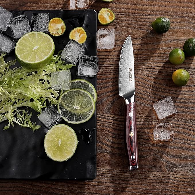 PAUDIN 3.5 Inch Paring Knife, Damascus Stainless Steel Blade Full Tang G10 Handle, Sharp VG10 Steel Fruit Knife and Vegetable Peeling Knife