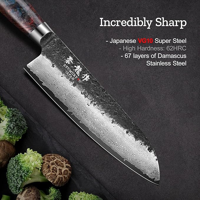 7 Inch Japanese Chef knife, 67 Layers Damascus Chef Knife with VG10 Steel Core, Professional Santoku Kitchen Knives with Ergonomic Handle, Leather Sheath & Luxury Gift Box, Cooking Gifts for Women