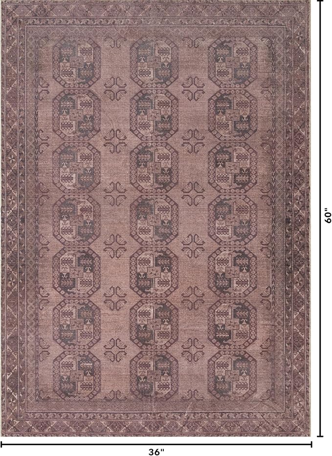 Kuden 3x5 Small Rug, Machine Washable, Non-Slip Backing, Vintage Style, Soft, Low Pile, Area Rugs for Entryway Kitchen Indoor Entrance