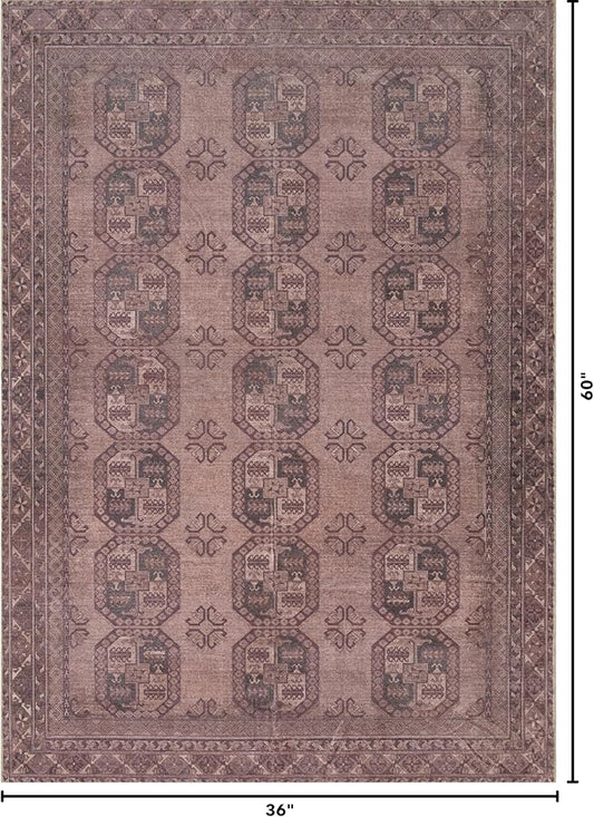 Kuden 3x5 Small Rug, Machine Washable, Non-Slip Backing, Vintage Style, Soft, Low Pile, Area Rugs for Entryway Kitchen Indoor Entrance