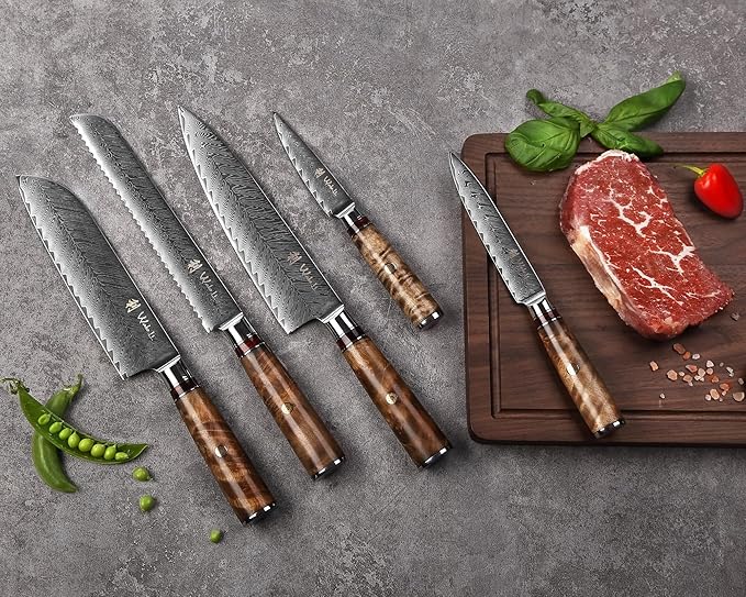 Wakoli Damascus Chef Knife Set with Magnetic Block – 5-Piece Professional Kitchen Knife Block Set, Genuine 67-Layer Damascus Steel Blades with VG10 Core & Ergonomic Sycamore Wood Handles